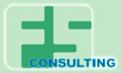 FS Consulting GmbH & Co. KG
